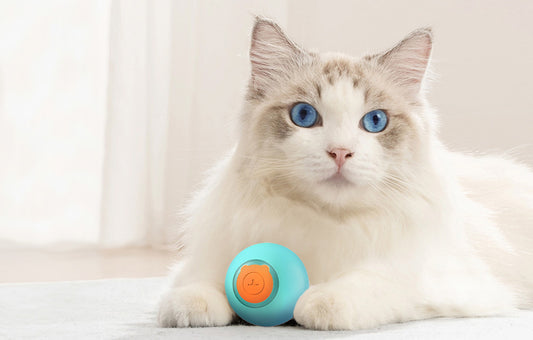 Rojeco Interactieve Kattenbal