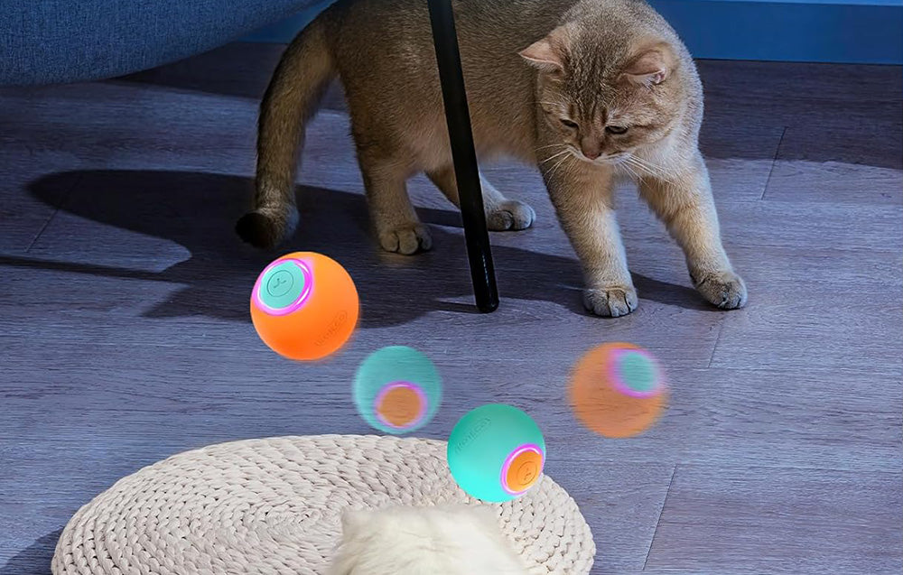 Rojeco Interactieve Kattenbal